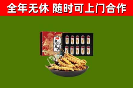 济南回收冬虫夏草价格